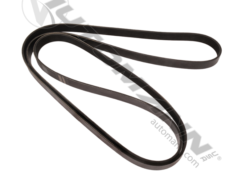 815.406066-CONTINENTAL ELITE POLY-V SERPENTINE BELT