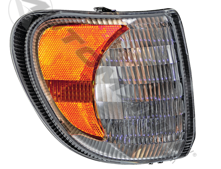 564.55212-TURNG RH IHC