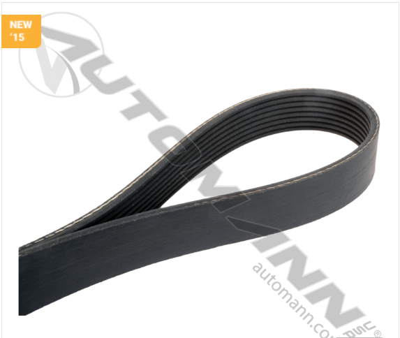 815.4080550 -Continental V Serpentine Belt OE Tech