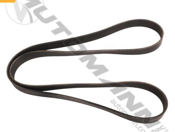815.4080550 -Continental V Serpentine Belt OE Tech