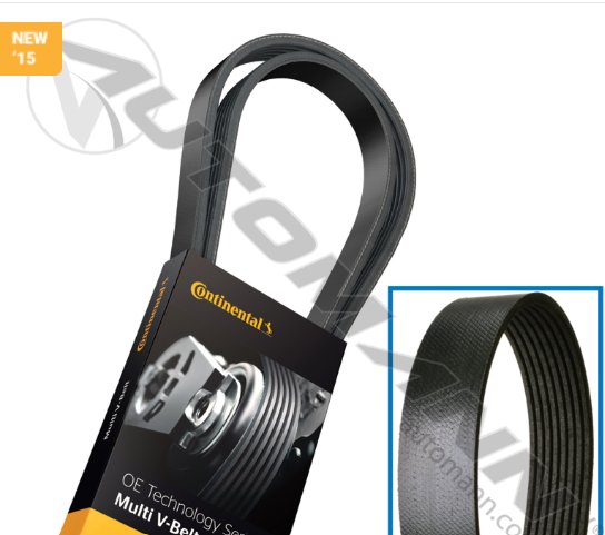 815.4080550 -Continental V Serpentine Belt OE Tech